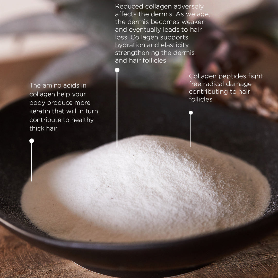 Everything You Need to Know About Hydrolysed Collagen