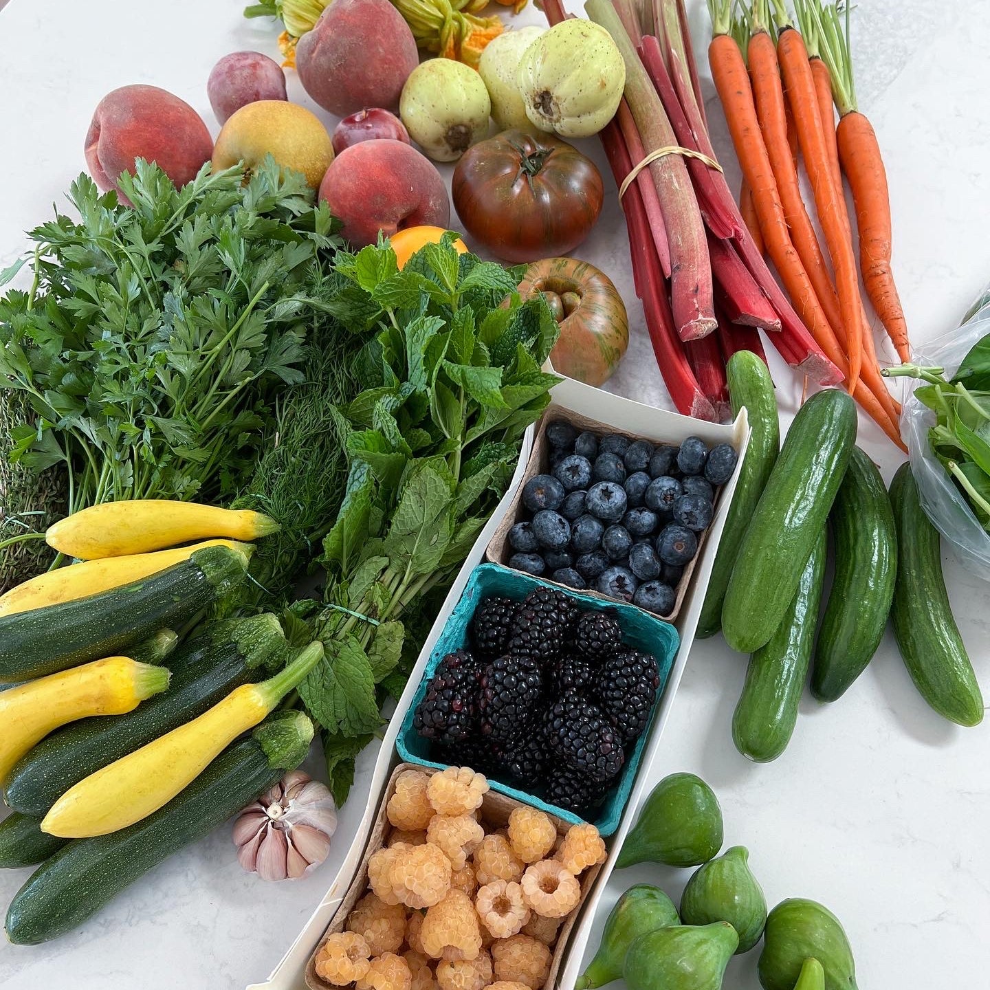 Vitamin C & Collagen Production